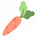 vegetable, healthy, food, vegetarian, organic, carrot