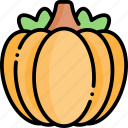 pumpkin, vegetable, healthy food, food