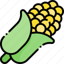 corn, vegetable, healthy food, food