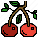 cherries, cherry, cooking, fruit, market