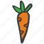 carrot, food, fruit, healthy, vegetable, eat 