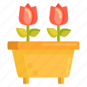 flower, flower pot, flowers, pot, rose, roses