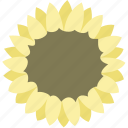 sunflower, daisy, flower, garden, nature, spring