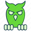 bird, fly, halloween, horror, owl, scary