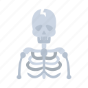 halloween, bone, skull, death, dead, scary, skeleton