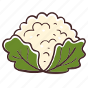 cauliflower, food, vegetable, cooking