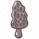 morel, mushroom, fungus, fungi, food, vegetable, cooking