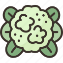 cauliflower, vegetable, food, ingredient, agriculture