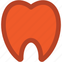 dental, dentistry, human teeth, molar, stomatology, teeth, tooth