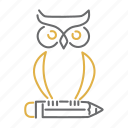 owl, school, education, knowledge, learn, pencil