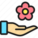 spa, hand, flower