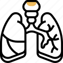 lungs, bronchial, respiratory, pulmonary, body