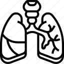 lungs, bronchial, respiratory, pulmonary, body