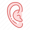 anatomy, ear, face