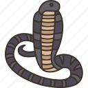 cobra, snake, animal, viper, venom