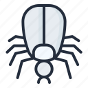 tick, insect, animal, nature