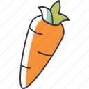 carrot, vegetable