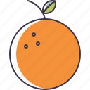 fruit, orange