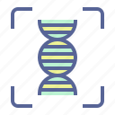 dna, forensic, helical, helix