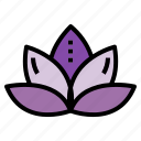 flower, lotus, spa, yoga