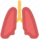 anatomy, body organ, breathe, human lungs, lungs, pulmonology