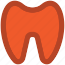 anatomy, dental care, dentistry, human teeth, stomatology, teeth, tooth