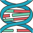 dna, helix, genetics, biology, molecule