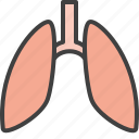 breath, lungs, organ, pulmonology