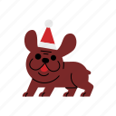 dog, christmas, cute, smile