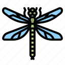 dragonfly, animal, infestation, plague, insect