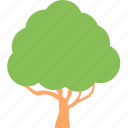 gardening, greenery, nature, shrub tree, tree