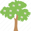 gardening, greenery, nature, shrub tree, tree