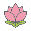 beauty, blossom, cosmetics, flower, lotus, relaxation, spa