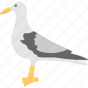 bird, cartoon, dove, peace bird, pigeon