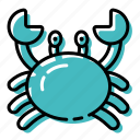 beach, crab, marine, ocean, sea