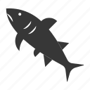 aquatic animal, fish, ocean, ocean animal, sea, shark