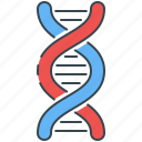 biology, chromosome, dna, genetic, helix, science