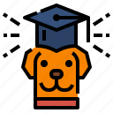 certification, certified, dog, petshop, training