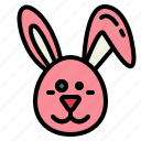 animals, easter, pet, rabbit