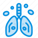 cancer, heart, lung, organ, pollution