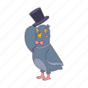 bird, dove, pigeon, animal, top hat