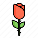 rose, agriculture, flower, garden, gift, nature, plant