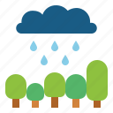 cloud, forest, rain, rainy