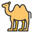 abrahamic, animal, camel, islam, ramadan, religion