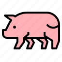 animal, farm, ham, pig, pork