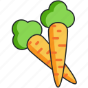 carrot, vegetable, organic, healthy, carrots, food