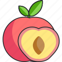 peach, food, fruit