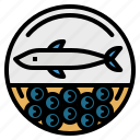 aquatic, caviar, eggs, food, sea