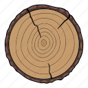 cut, end, log, structure, tree, wood