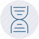 chain, dna, genetics, helix, molecule, science, strand